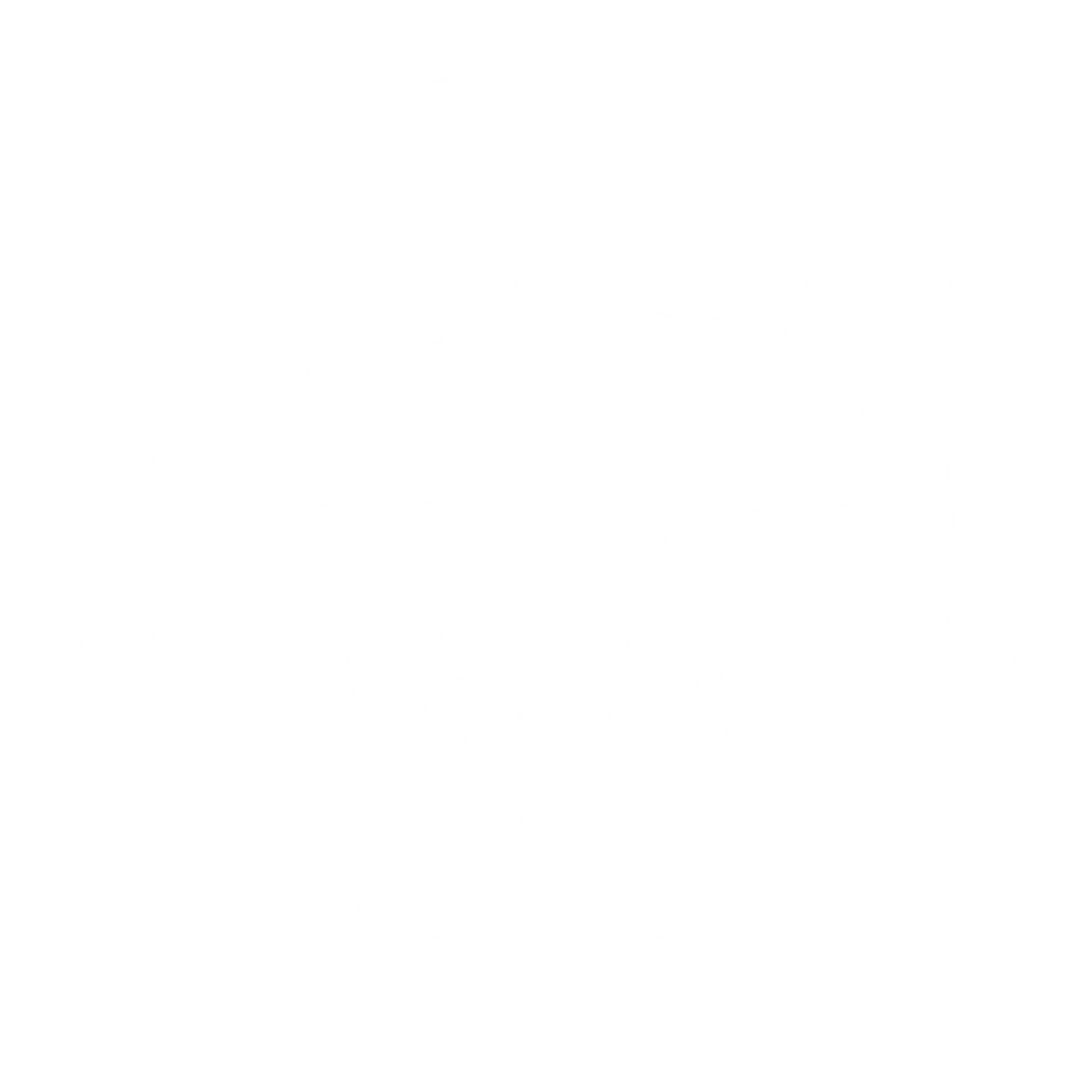 Búfalos
