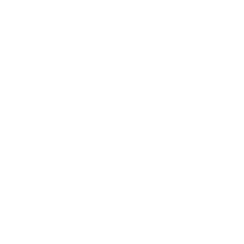 Logotipo de Pundyk Clothing, cliente de KrypCore